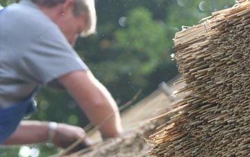 professional Penllwyn thatchers